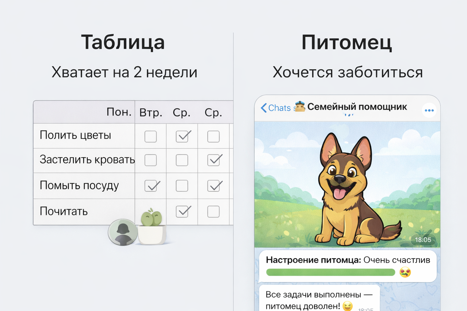 Сравнение таблицы и питомца